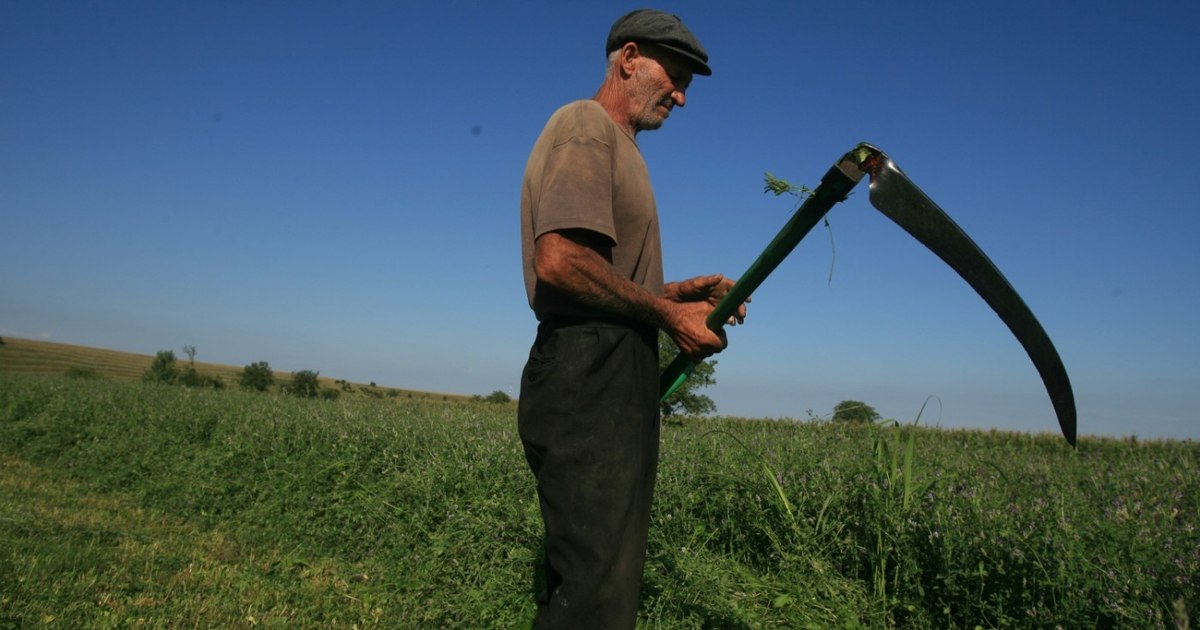 Tinerii evită agricultura din România: lipsa timpului liber și riscurile financiare sunt principalele motive