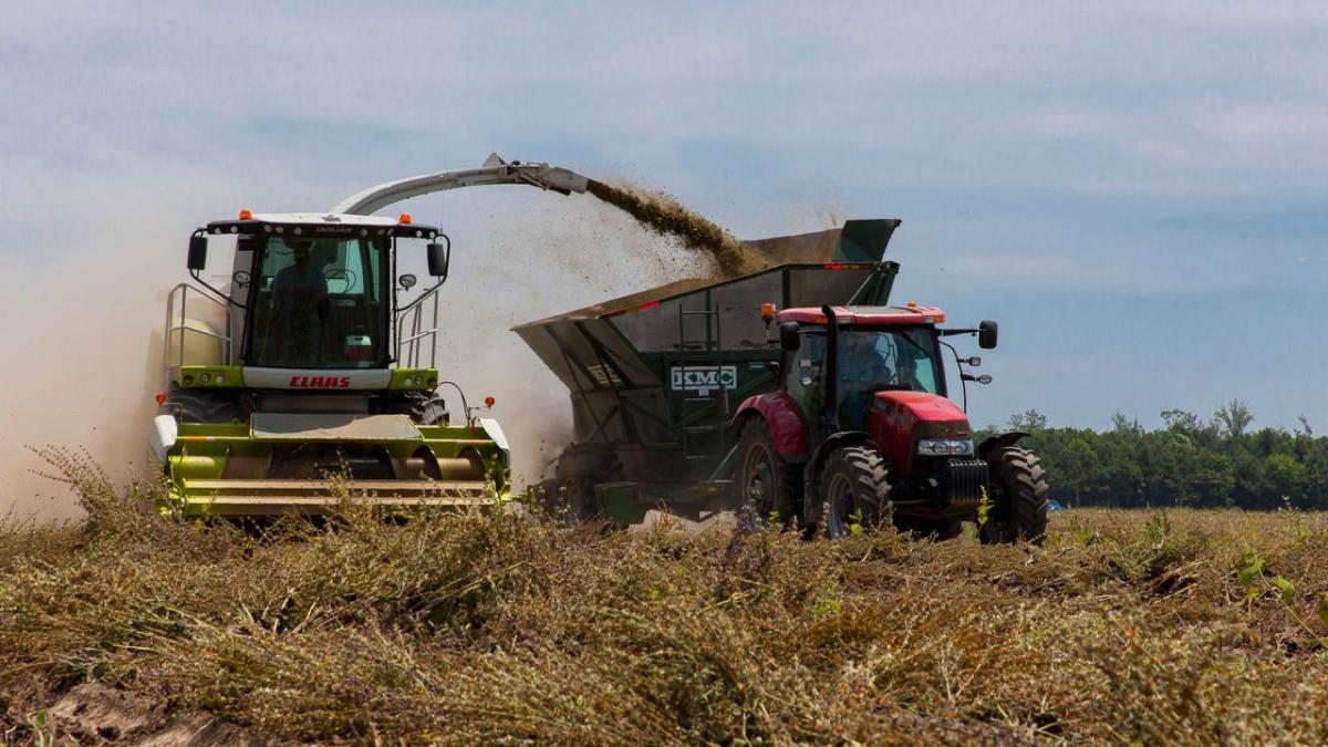 Peste 589 de milioane de euro au fost virate în conturile fermierilor români