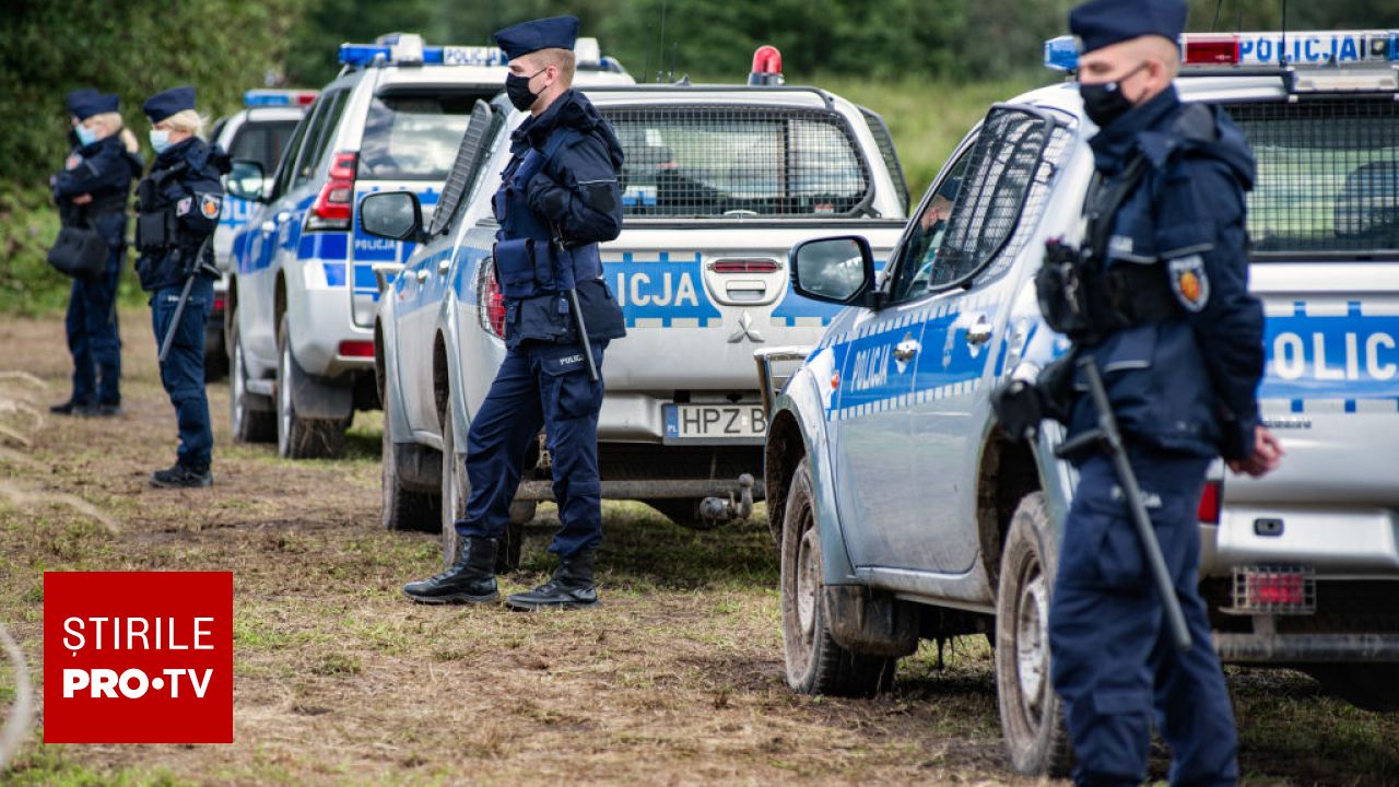 Sute de români au fost controlați în pădurile din Polonia pentru cules de ciuperci