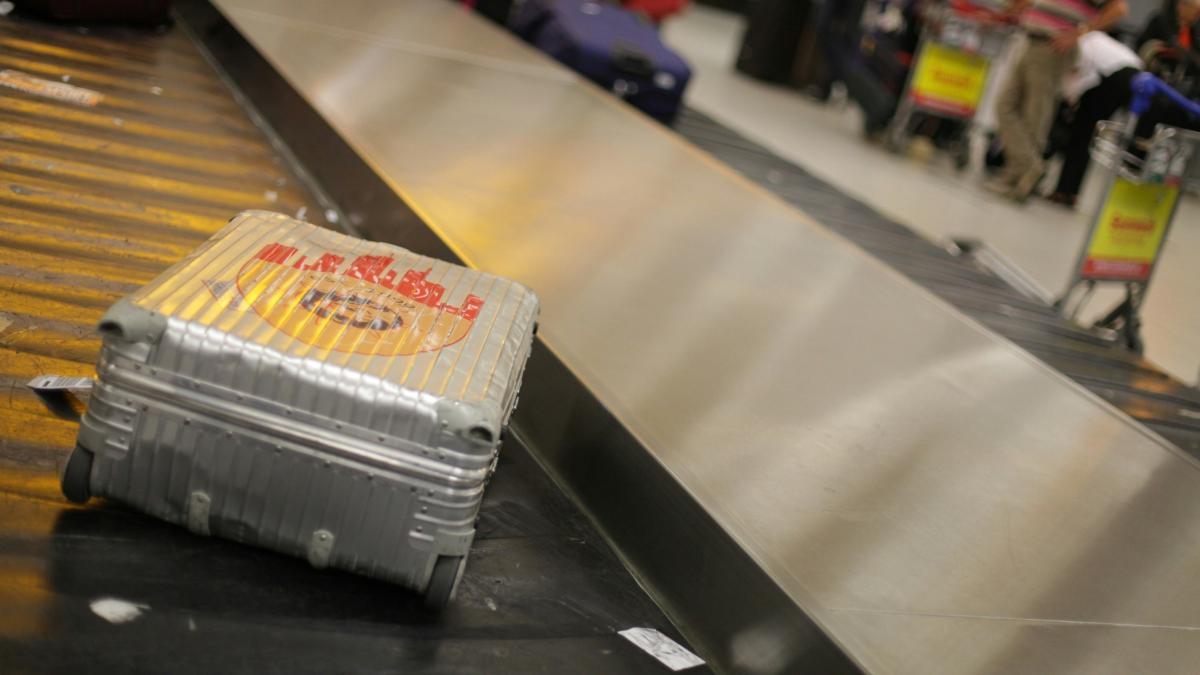 Un cetățean italian a fost prins cu un cap de crocodil în bagaj, la aeroportul din Torino