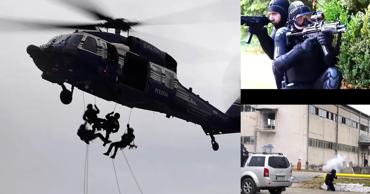 Exercițiu militar internațional în România: peste 500 de militari din 19 țări participă la Carpathian Blue Shield