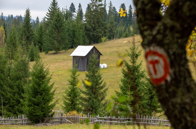 Via Transilvanica devine un spațiu de cercetare și creație prin proiectul Terra Memoriae