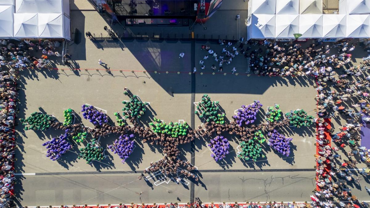 Republica Moldova stabilește un record mondial Guinness: 493 de oameni au format o viță-de-vie umană