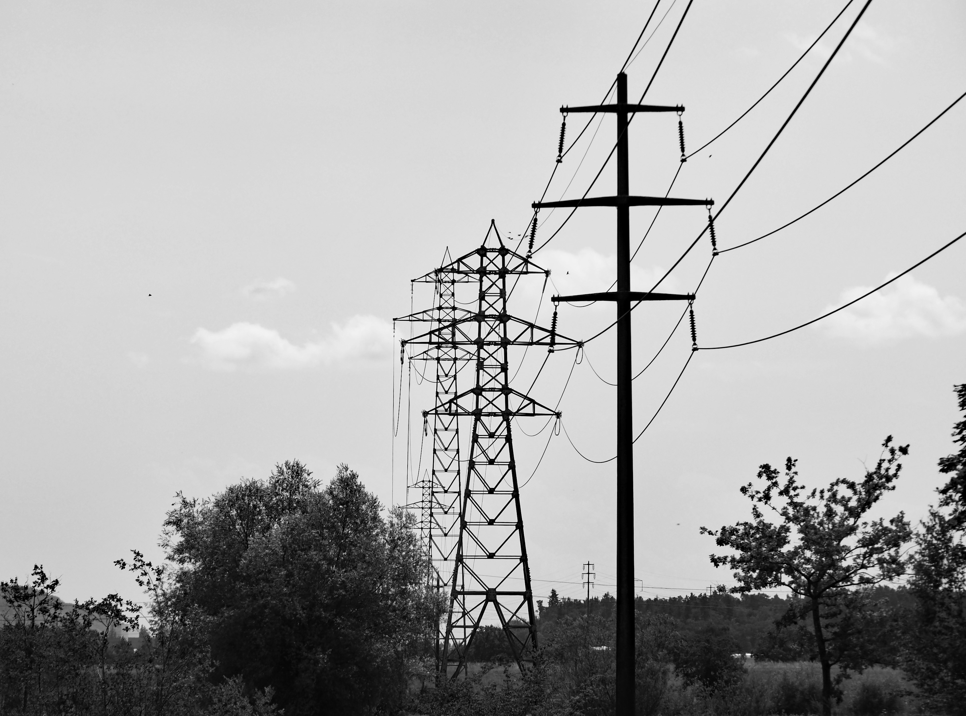 Ambițiile europene în domeniul inteligenței artificiale sunt amenințate de infrastructura energetică deficitară