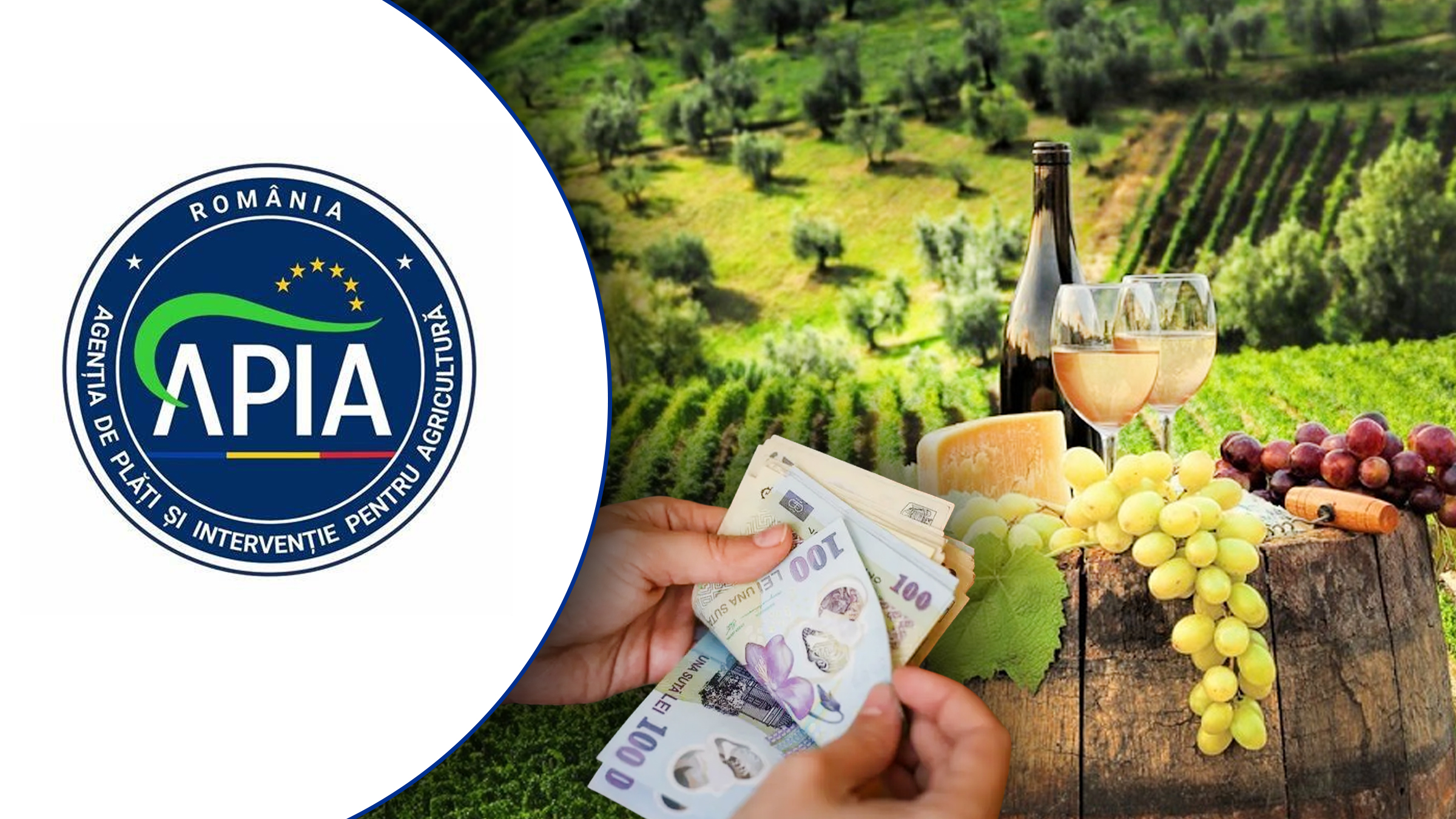 Producătorii de vin pot solicita sprijin financiar de la APIA pentru asigurarea recoltei de struguri