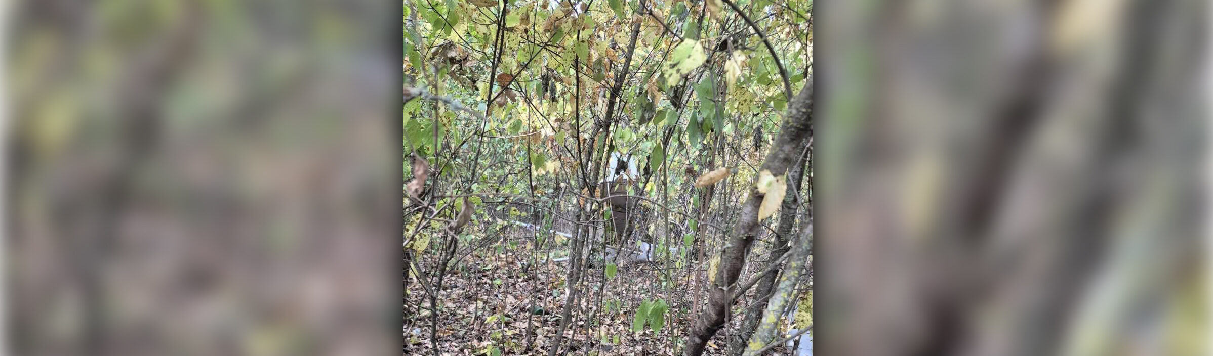 Incident cu o dronă cu explozibil în Republica Moldova: aparat de zbor izbit de un copac în pădure