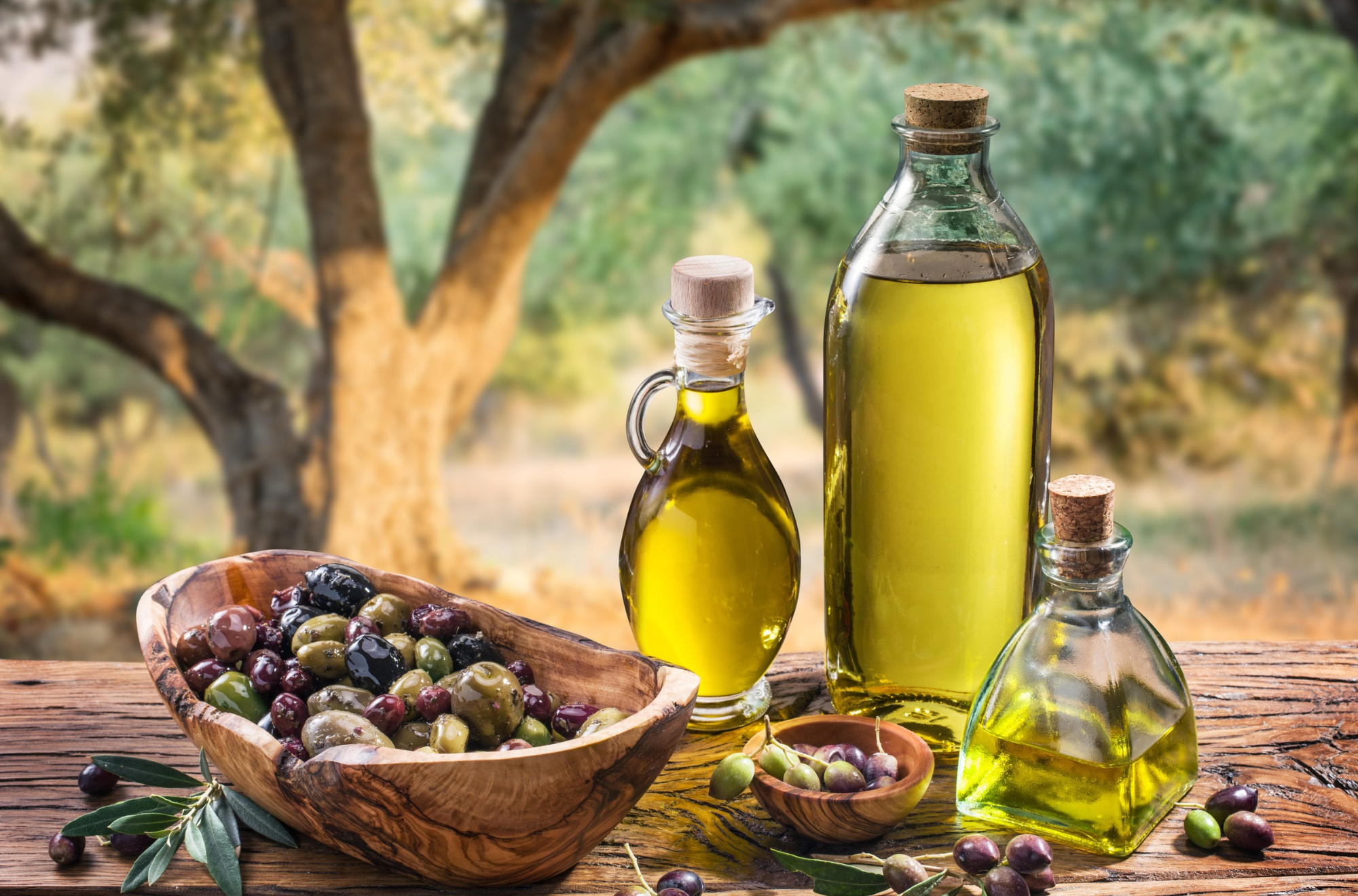Antreprenori români produc ulei de măsline de calitate în Grecia, cu premii internaționale