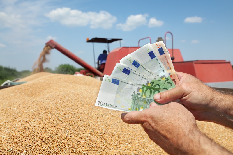 Calendarul plăților cu avans ale subvențiilor europene pentru fermieri a fost stabilit de APIA