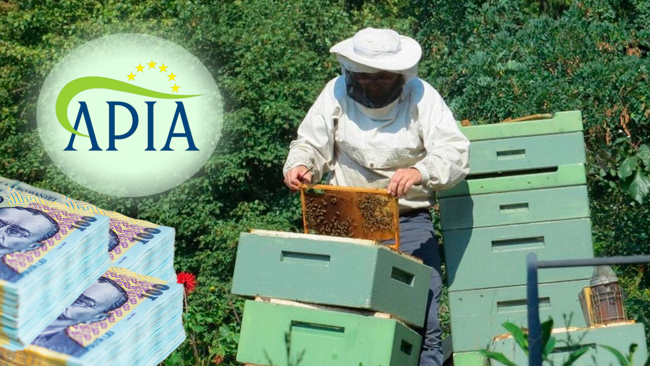 APIA a plătit peste 51 de milioane de lei către apicultori pentru diverse echipamente și tratamente